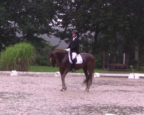 Reitturnier Olfen-Vinnum 2017