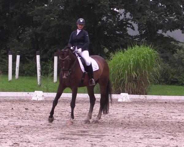 Reitturnier Olfen-Vinnum 2017
