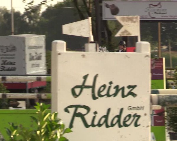 Reitturnier Olfen-Vinnum 2017