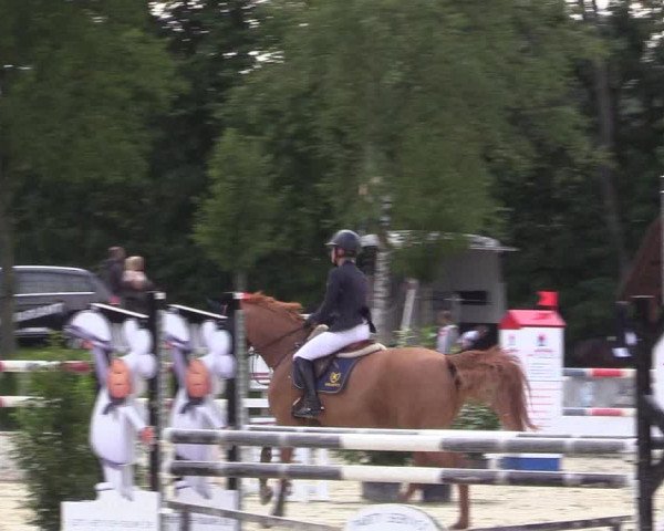 Reitturnier Olfen-Vinnum 2017