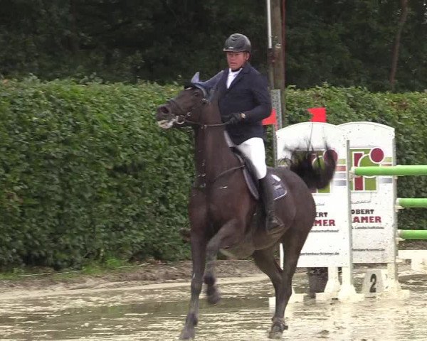 Reitturnier Olfen-Vinnum 2017