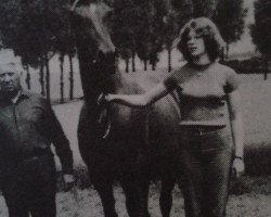 Zuchtstute Marika (Rheinländer, 1969, von Marquis)