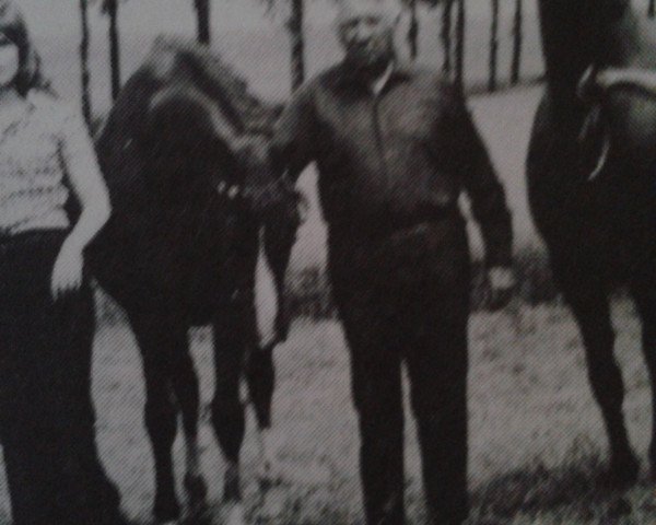 broodmare Aida (Rhinelander, 1960, from Abschaum)