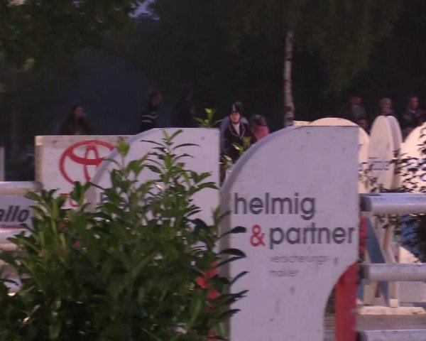 Reitturnier Olfen-Vinnum 2017