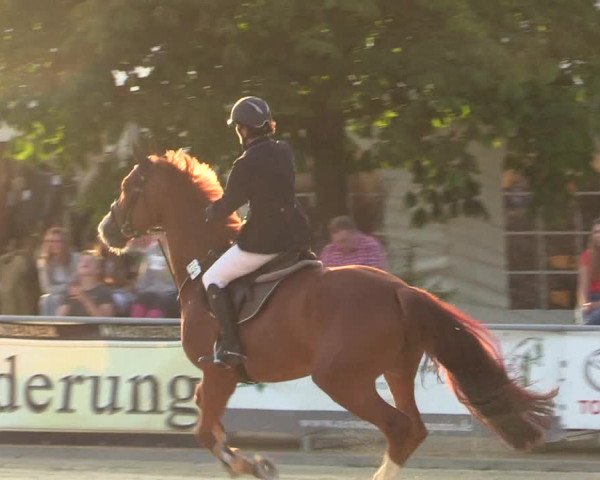 Jezdecký turnaj Olfen-Vinnum 2017