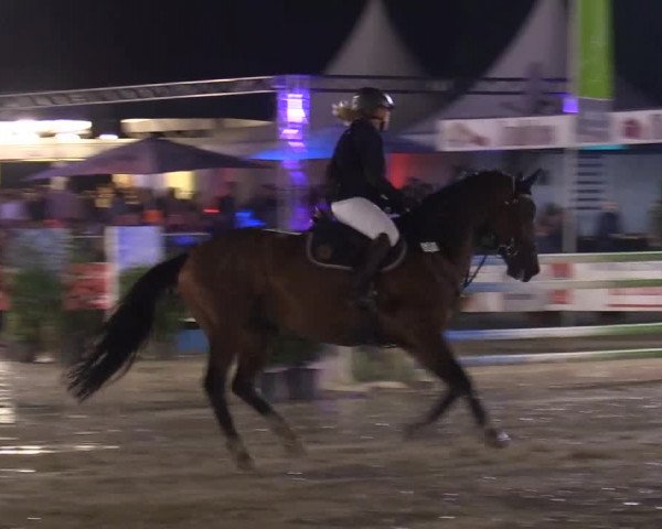 Reitturnier Olfen-Vinnum 2017