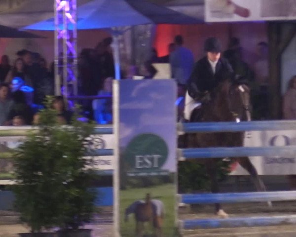 Reitturnier Olfen-Vinnum 2017