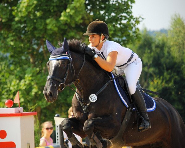 broodmare Etoille 4 (KWPN (Royal Dutch Sporthorse), 2009, from Wittinger)