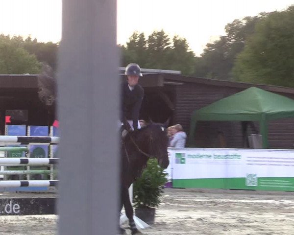 Reitturnier Olfen-Vinnum 2017
