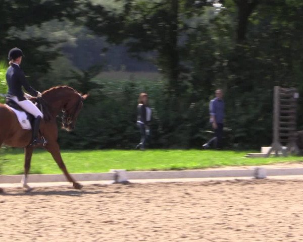 Reitturnier Olfen-Vinnum 2017