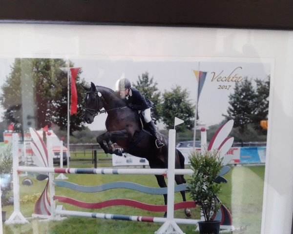 broodmare Martha 35 (Hanoverian, 2009, from Chivas)