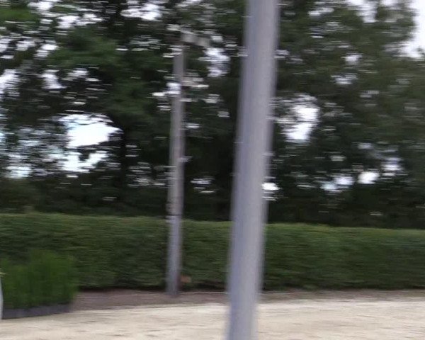 Reitturnier Olfen-Vinnum 2017