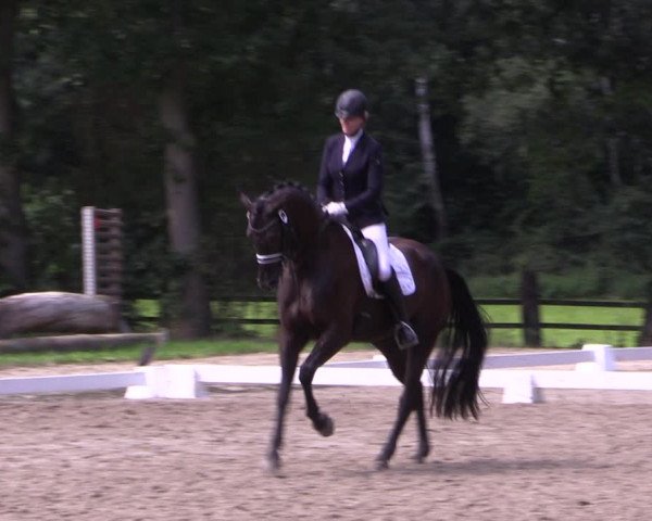 Reitturnier Olfen-Vinnum 2017