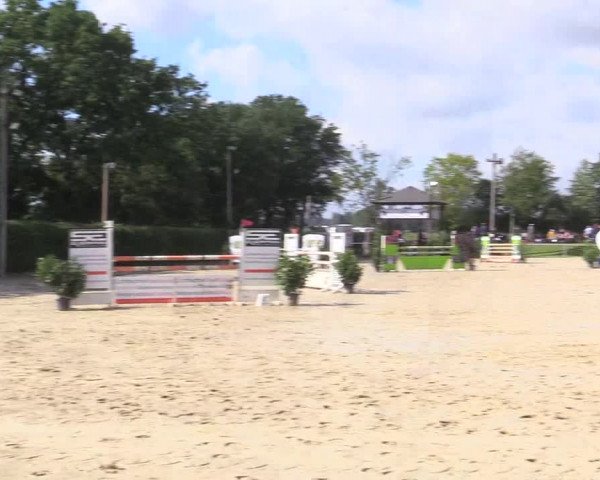 Reitturnier Olfen-Vinnum 2017