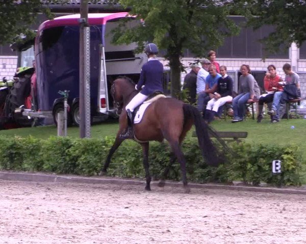 Reitturnier Olfen-Vinnum 2017