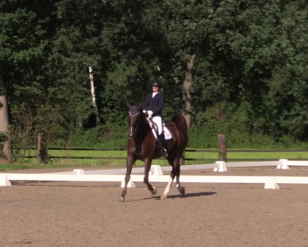 Reitturnier Olfen-Vinnum 2017