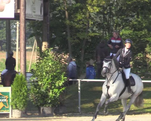 Reitturnier Olfen-Vinnum 2017