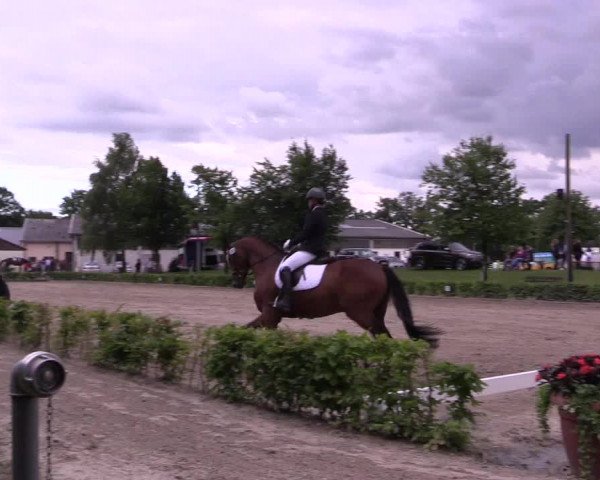 Torneo Equestre Olfen-Vinnum 2017