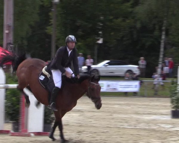Reitturnier Olfen-Vinnum 2017