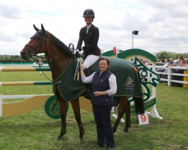 jumper Keatingstown Z Wellie Two (Irish Sport Horse, 2011, from Z Wellie 72)