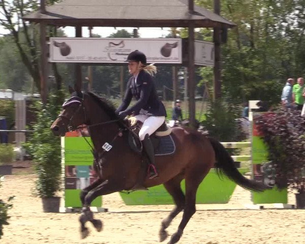 Reitturnier Olfen-Vinnum 2017