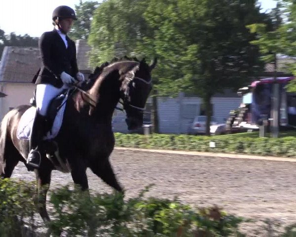 Reitturnier Olfen-Vinnum 2017