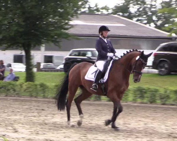 Reitturnier Olfen-Vinnum 2017