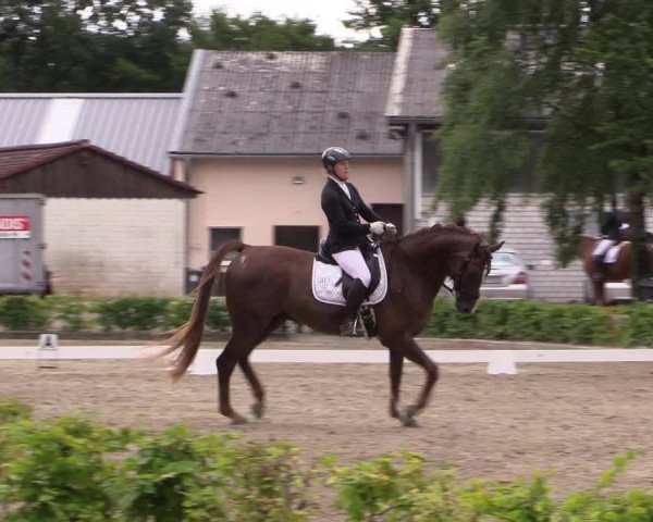 Reitturnier Olfen-Vinnum 2017