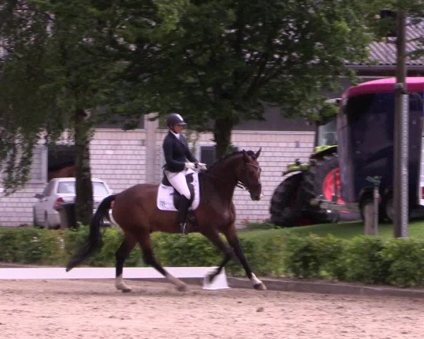 Reitturnier Olfen-Vinnum 2017