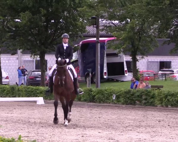 Reitturnier Olfen-Vinnum 2017