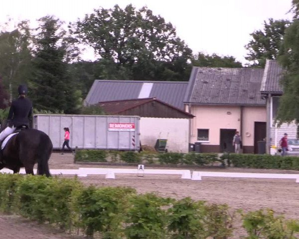 Reitturnier Olfen-Vinnum 2017