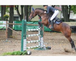 broodmare Georgina (Oldenburg, 2005, from Chacco-Blue)