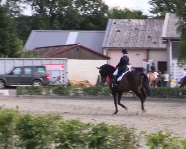 Reitturnier Olfen-Vinnum 2017