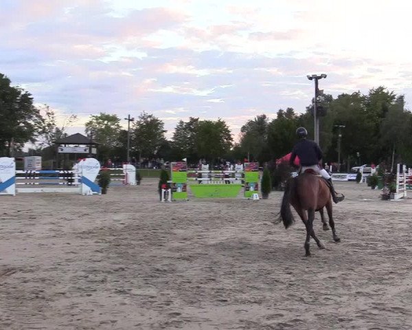 Reitturnier Olfen-Vinnum 2017