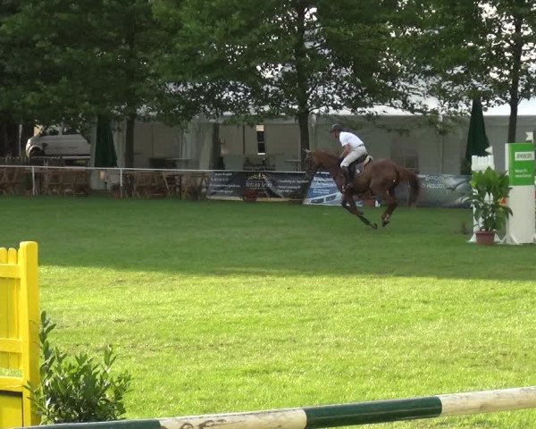 Reitturnier Zobbenitz 2017