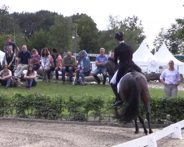 Reitturnier Olfen-Vinnum 2017