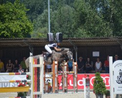 jumper Clearround Curt (Holsteiner, 2013, from L B Companiero)