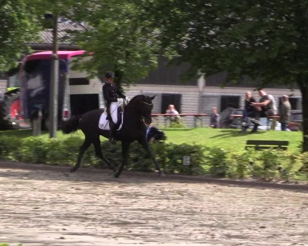 Reitturnier Olfen-Vinnum 2017