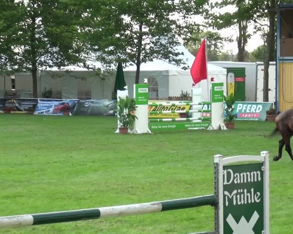 Reitturnier Zobbenitz 2017