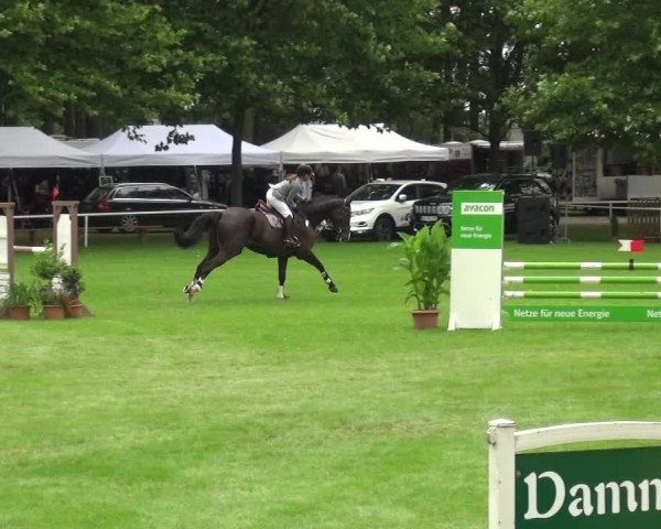 Reitturnier Zobbenitz 2017