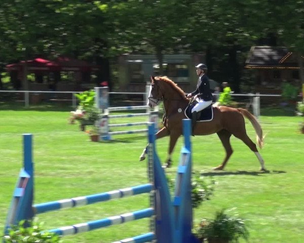 Reitturnier Zobbenitz 2017