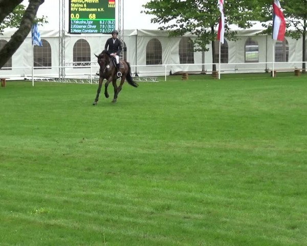 Reitturnier Zobbenitz 2017