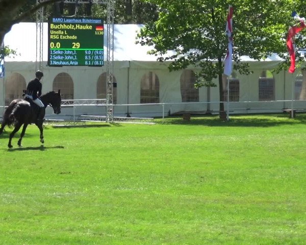 Reitturnier Zobbenitz 2017