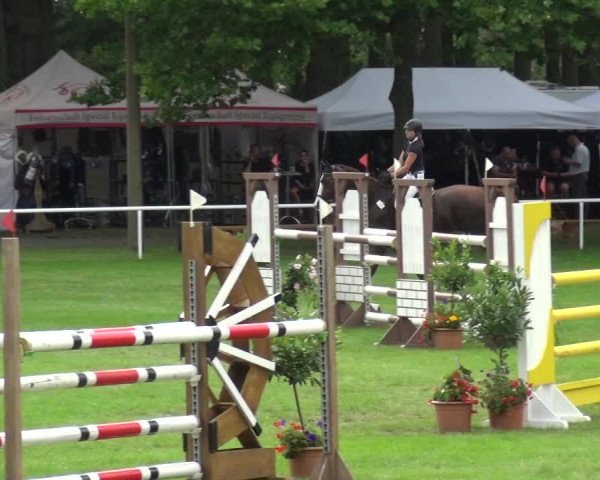 Reitturnier Zobbenitz 2017