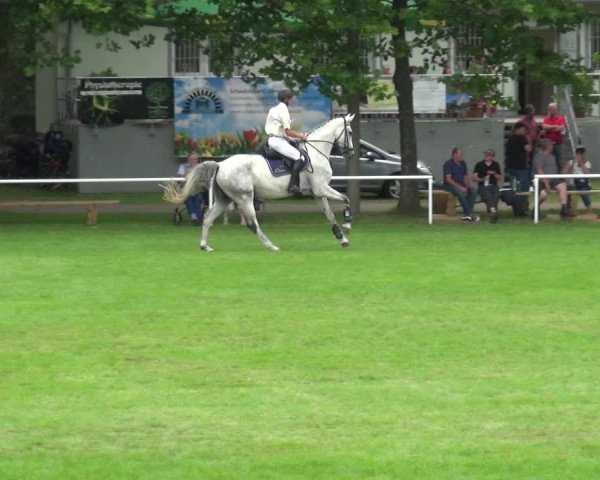 Reitturnier Zobbenitz 2017
