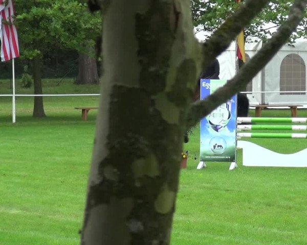 Reitturnier Zobbenitz 2017