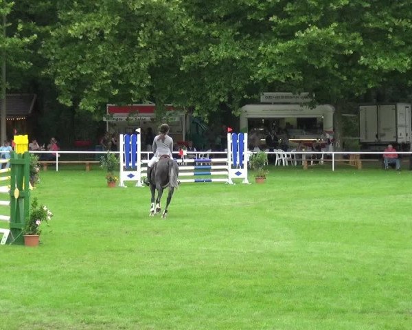 Reitturnier Zobbenitz 2017