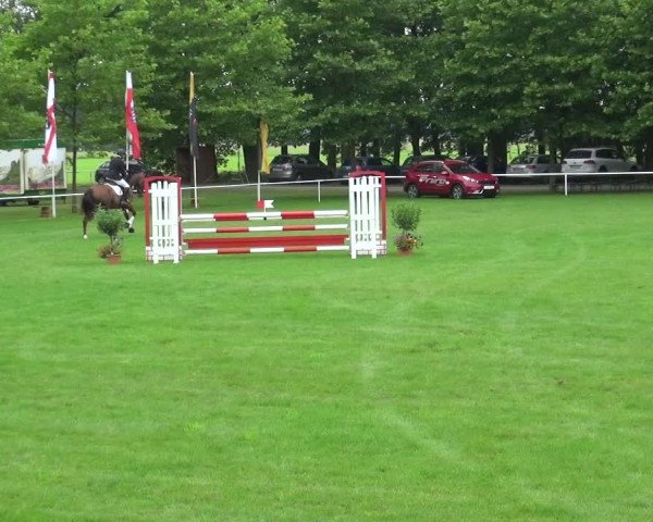 Reitturnier Zobbenitz 2017