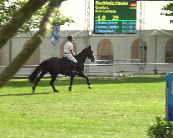 Reitturnier Zobbenitz 2017