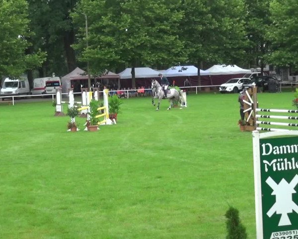 Reitturnier Zobbenitz 2017